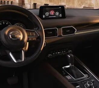 DXP+ BRILLIANT BASICS